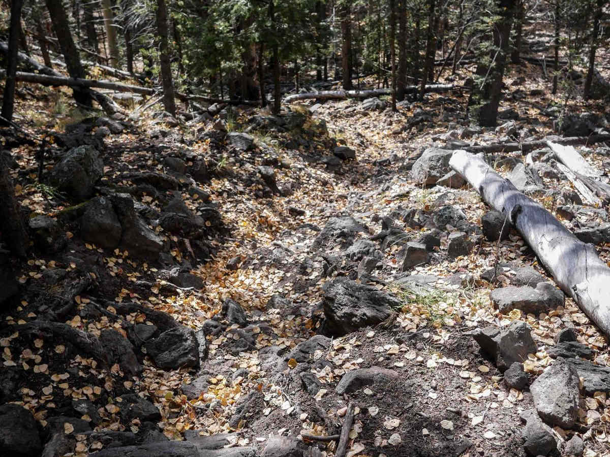 La Garita Creek Cutoff Single Track photo 2
