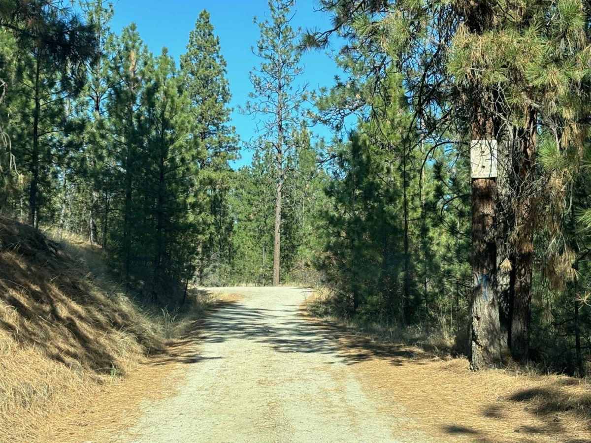 Burnell Lake Road photo 4