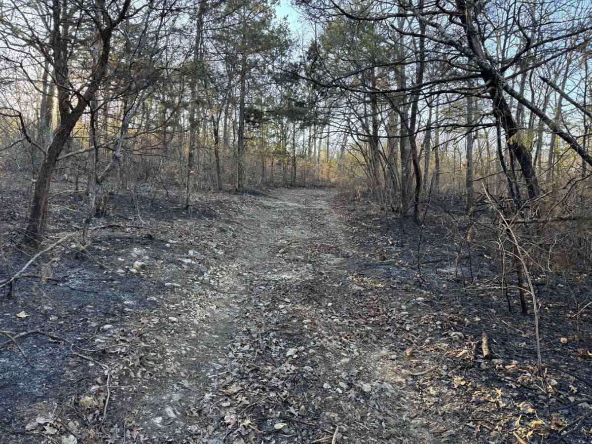 County Road 523 photo 2