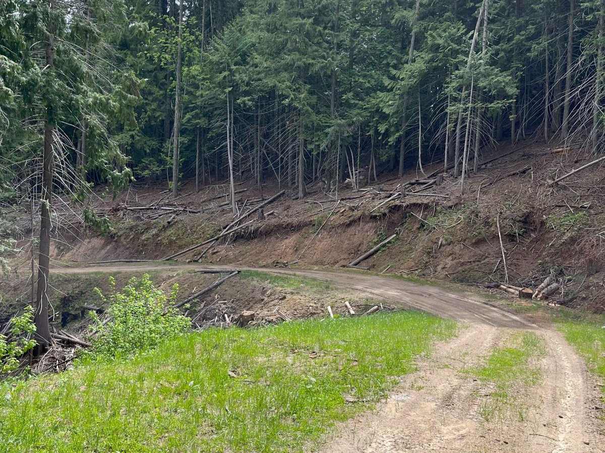 Forest Service Road 3320E East photo 2