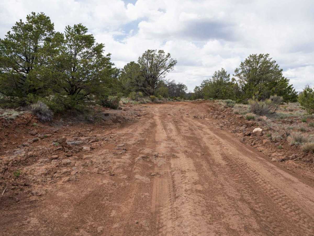 Chain of Craters Backcountry Byway photo 5