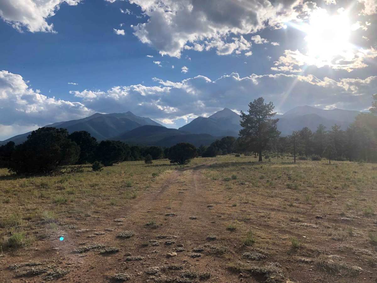 Browns Creek Spur trail photo