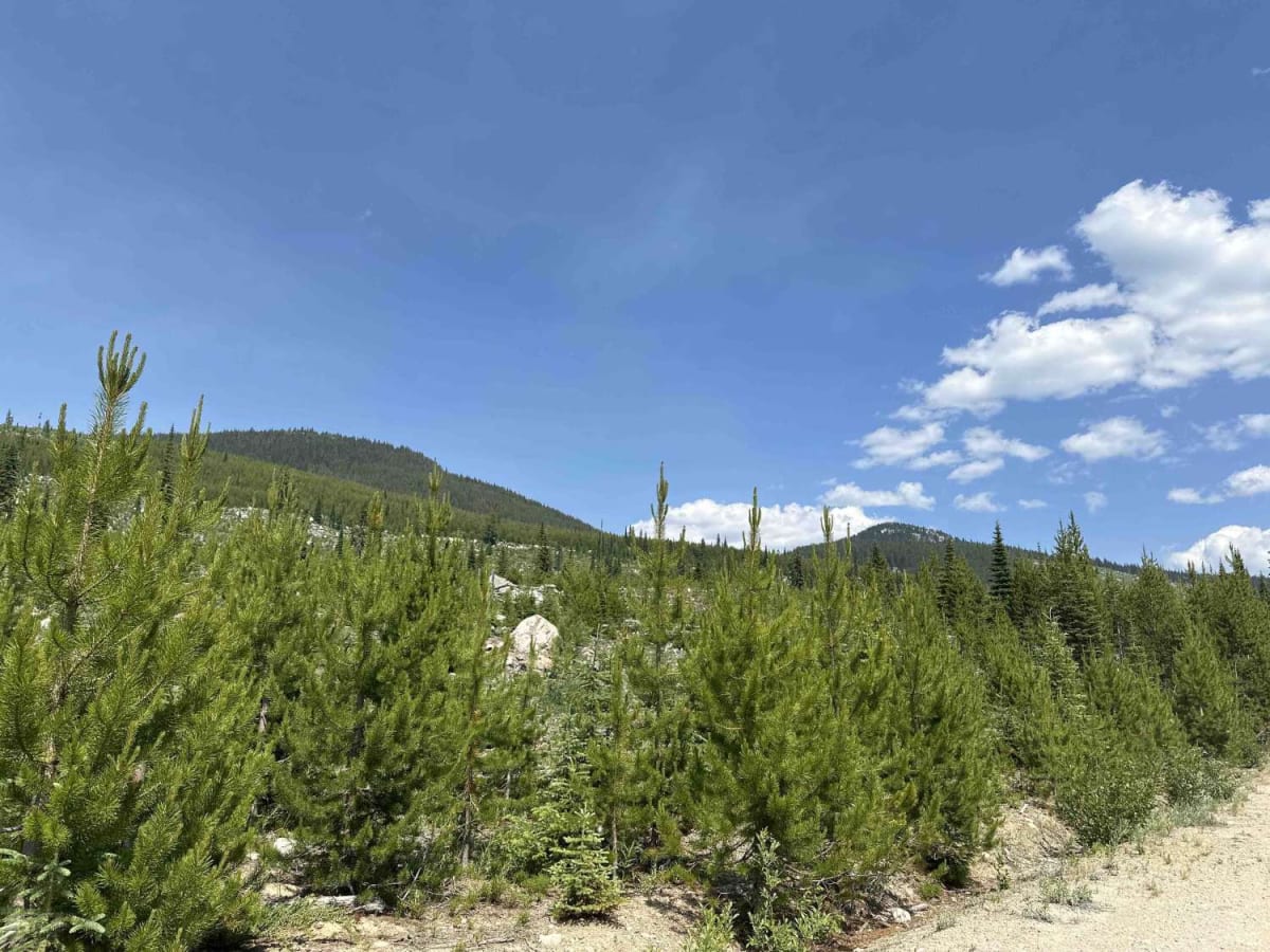 Boulder FSR photo 2