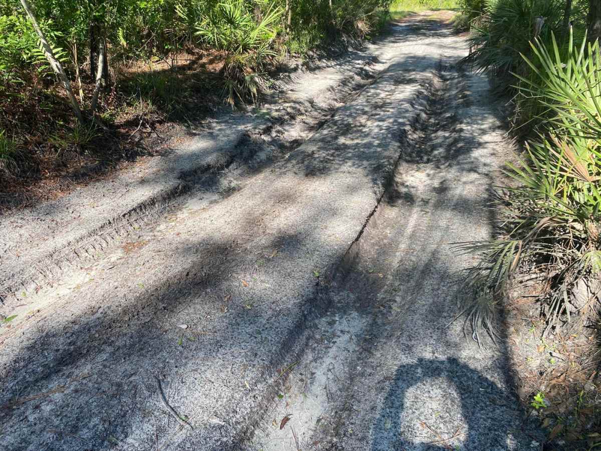 Blue Sink Road photo 4
