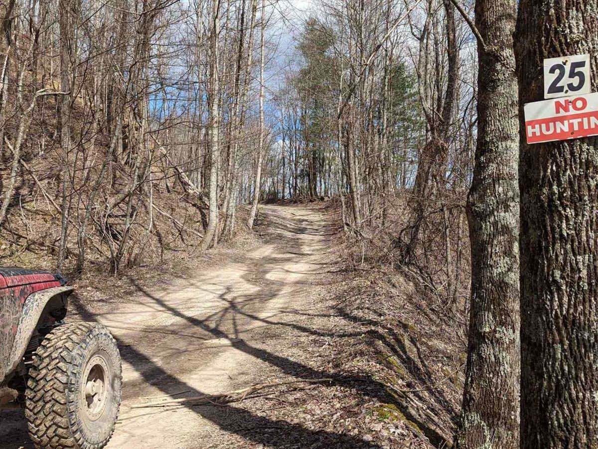 25 trail photo