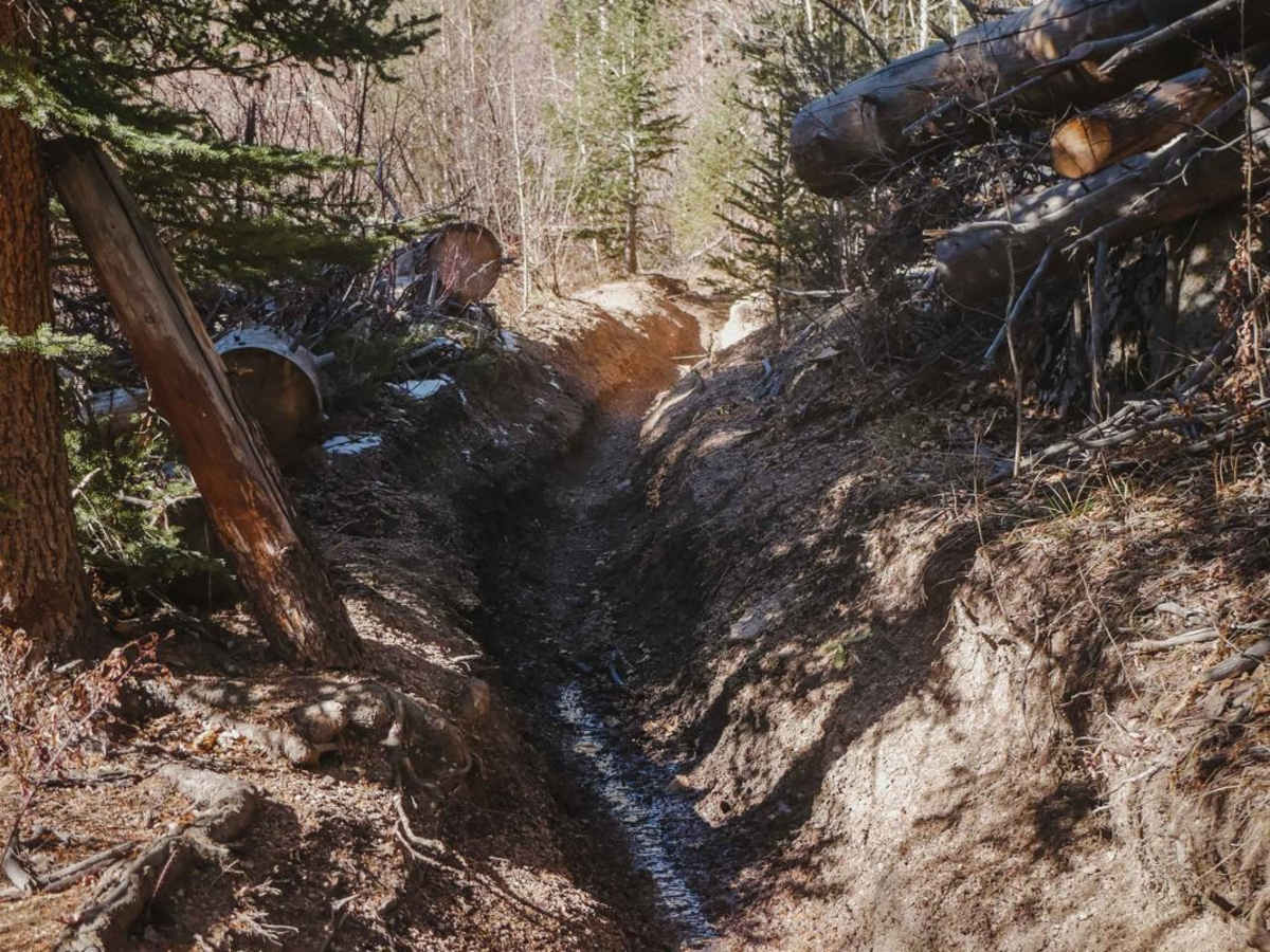 654 Roi Tan ATV Trail photo 3