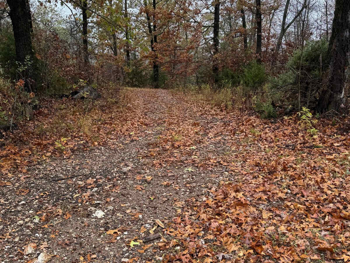 Green 94 trail photo