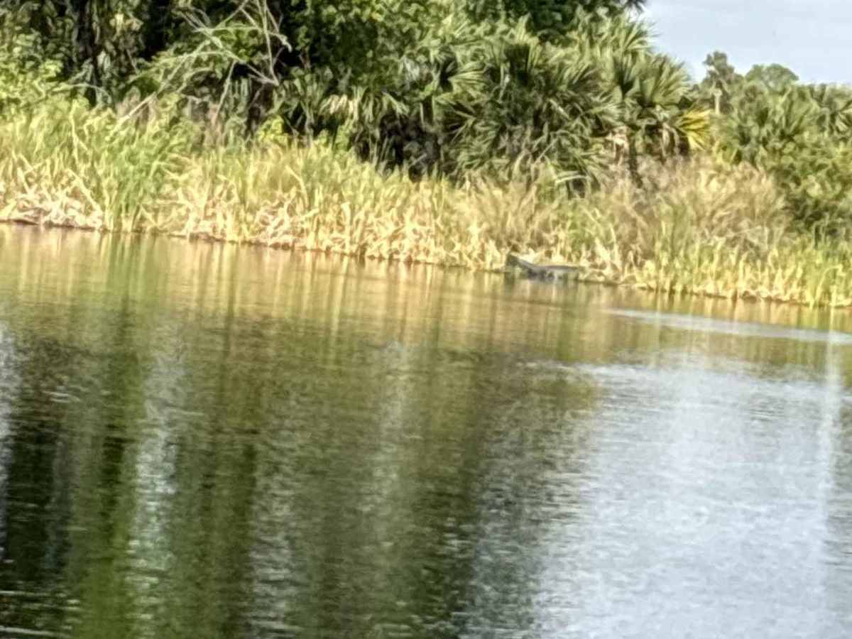 40 Acre Lake photo 3