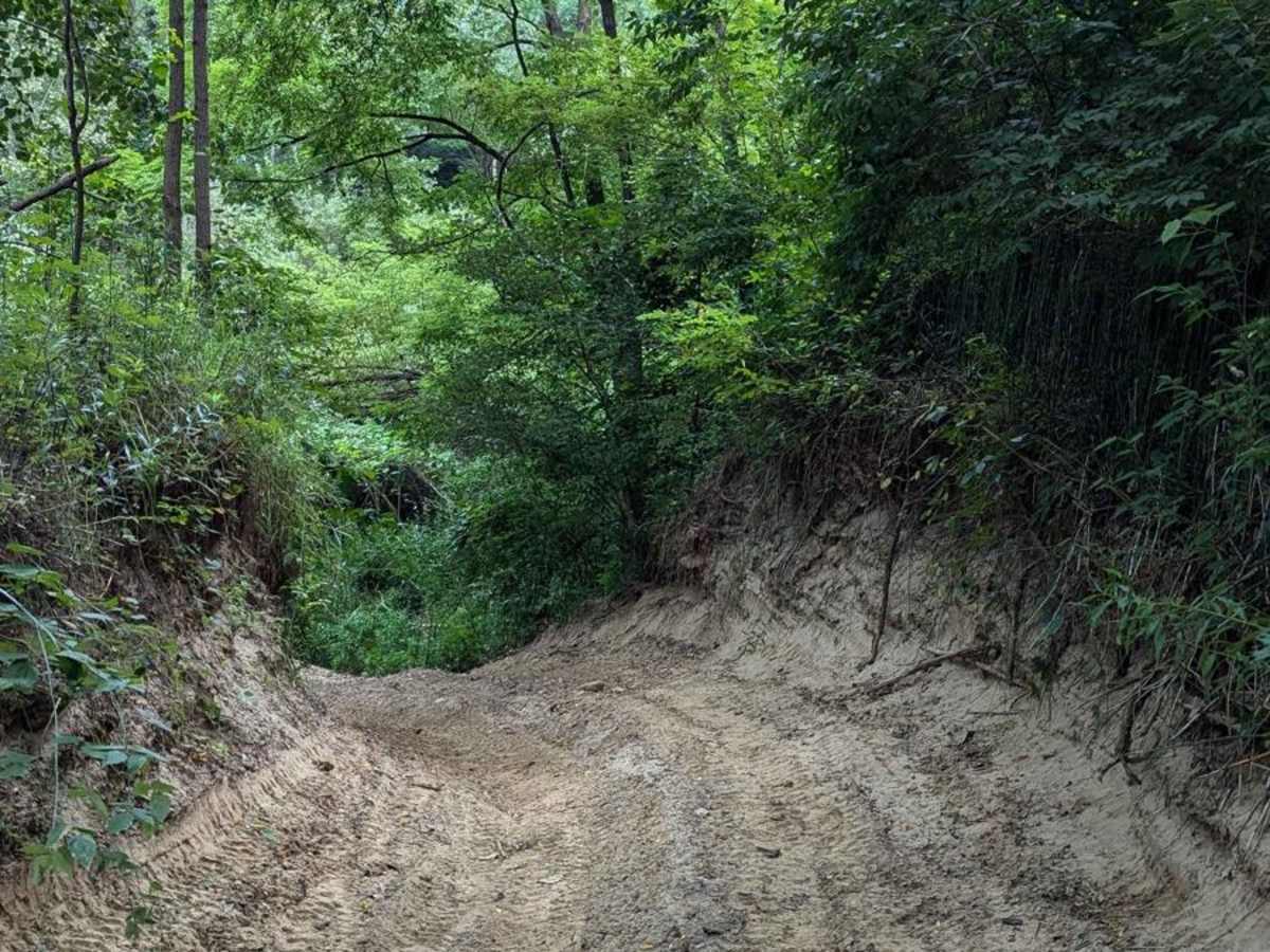 Deer Run photo 4