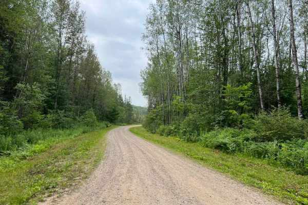 Peshtigo Reserve Road - FS 2695