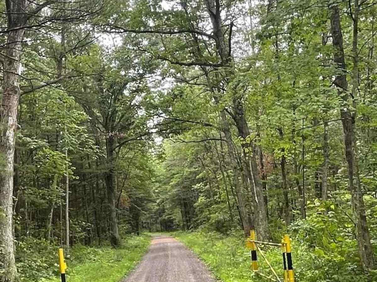 Walters Road photo 2