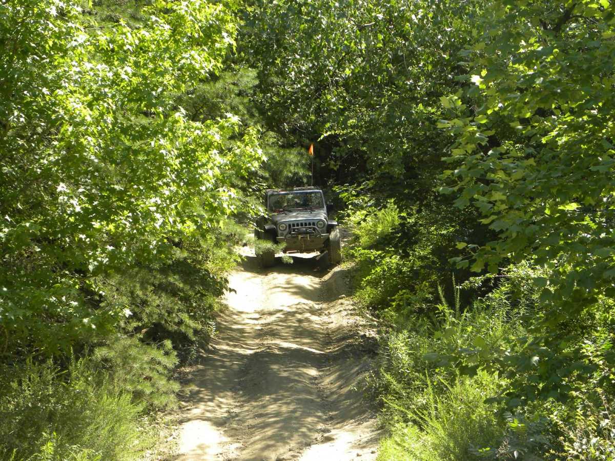 Trail 2C(intermediate) photo 4