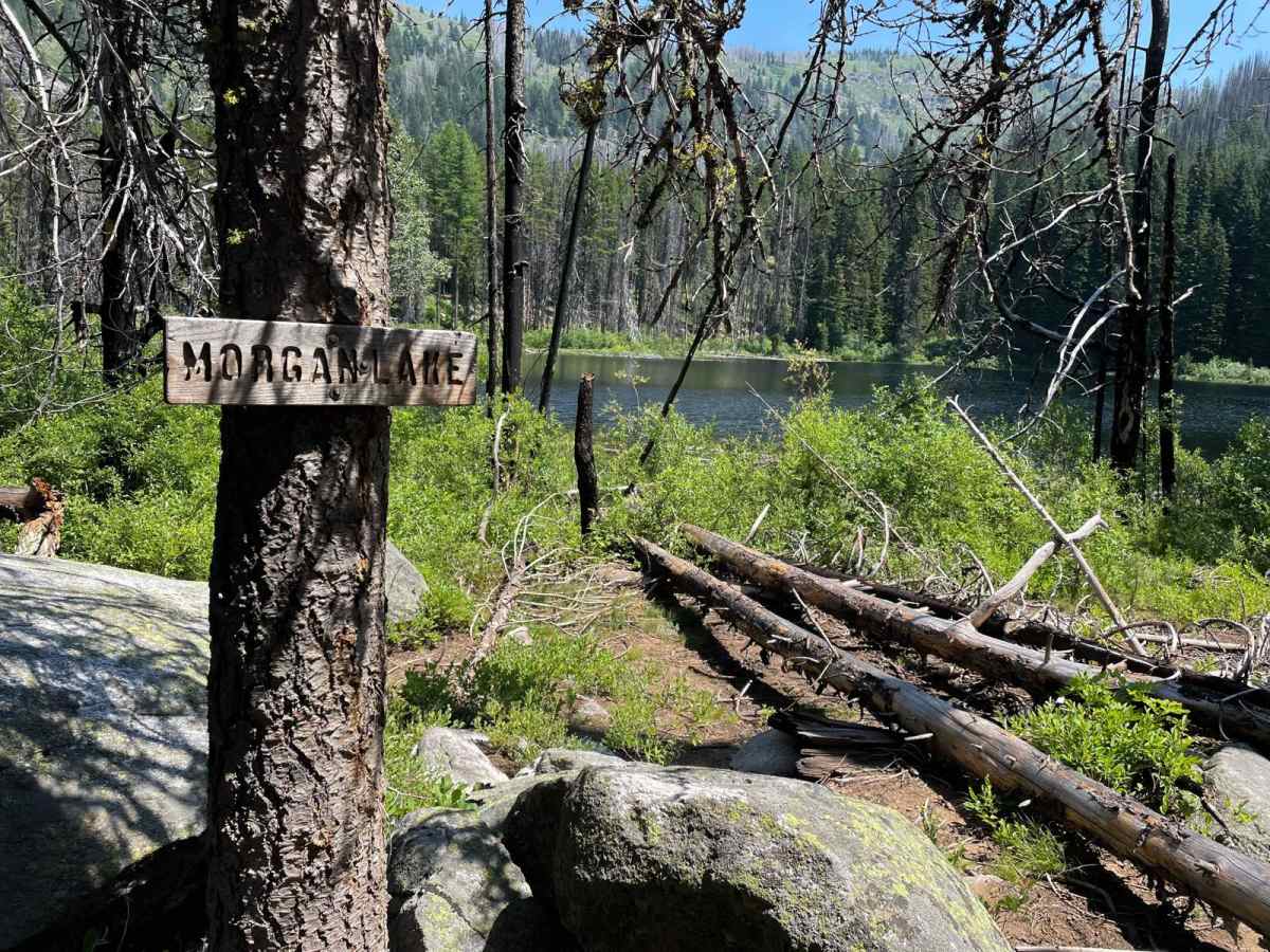 Morgan Lake trail photo