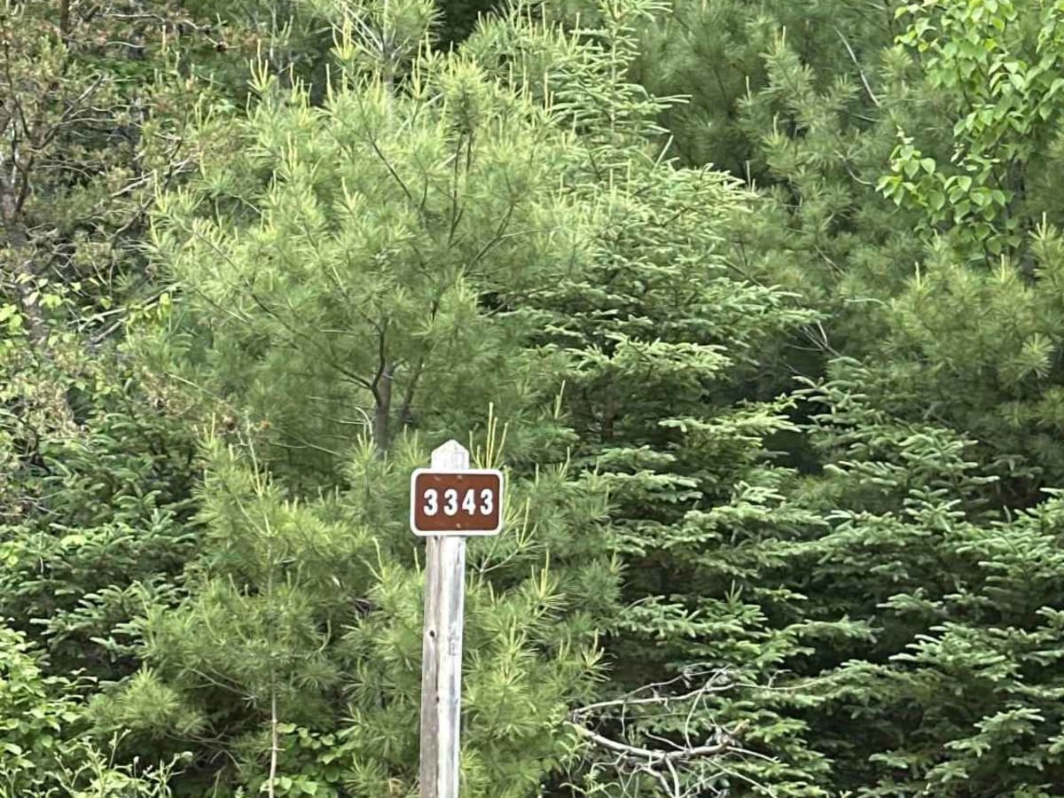 FS 3343 trail photo
