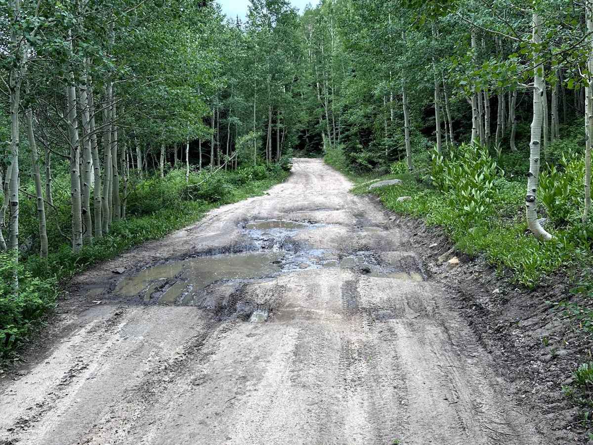 Madden Peak Road photo 5