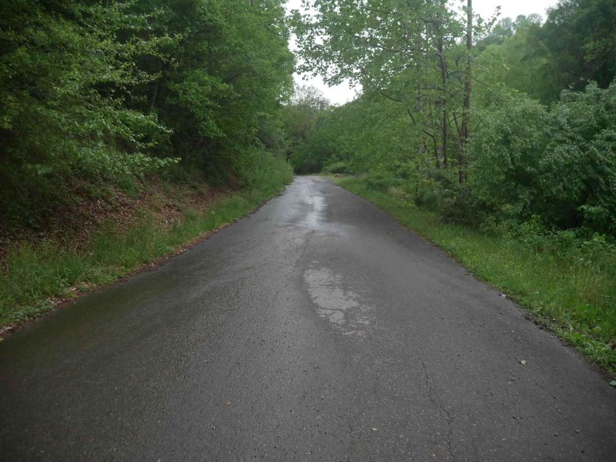 CC2 photo 2