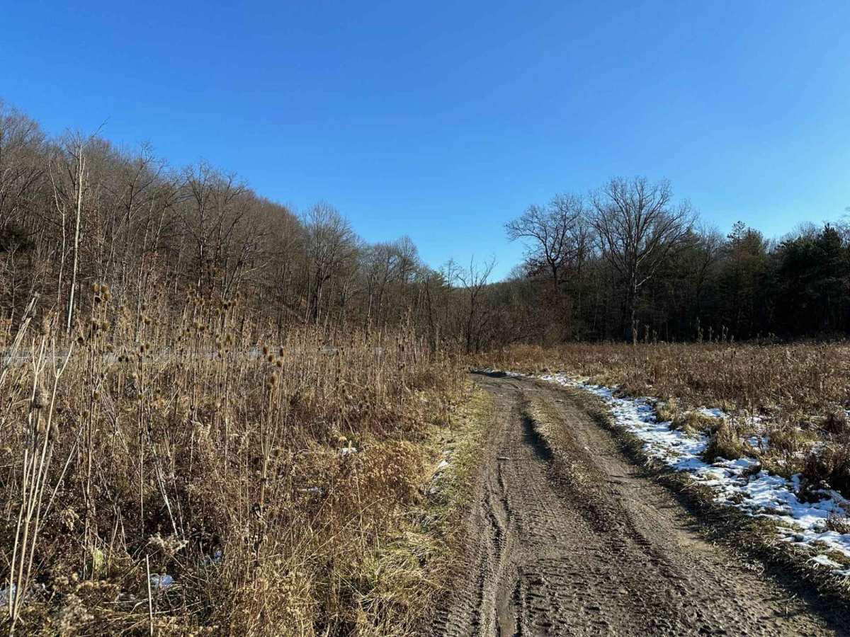 Locust Gap 58 photo 4