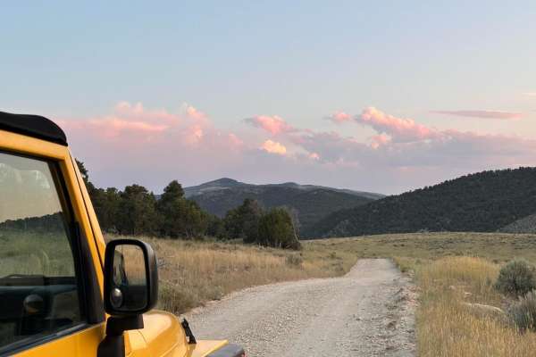 Sawtooth Loop