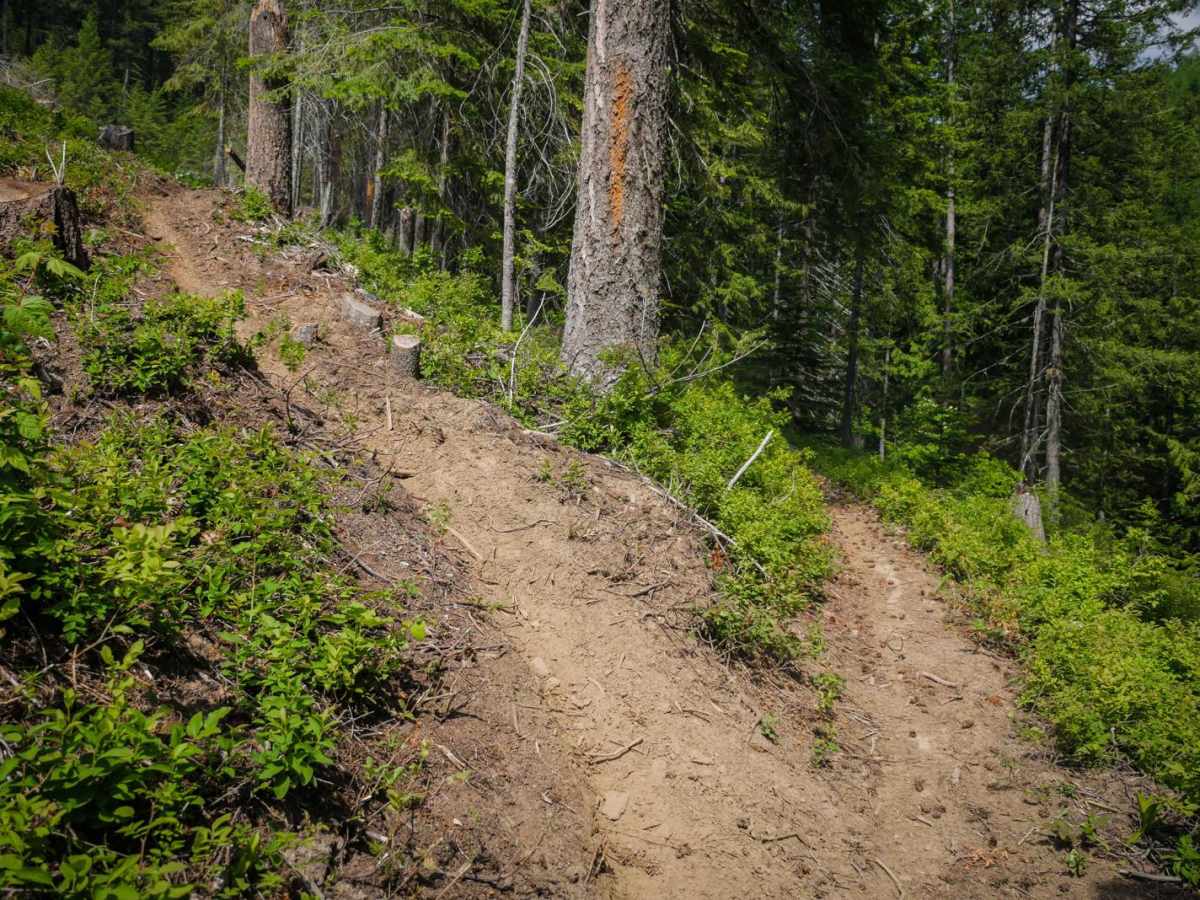 Beason Meadows 228 (Part 2) photo 6