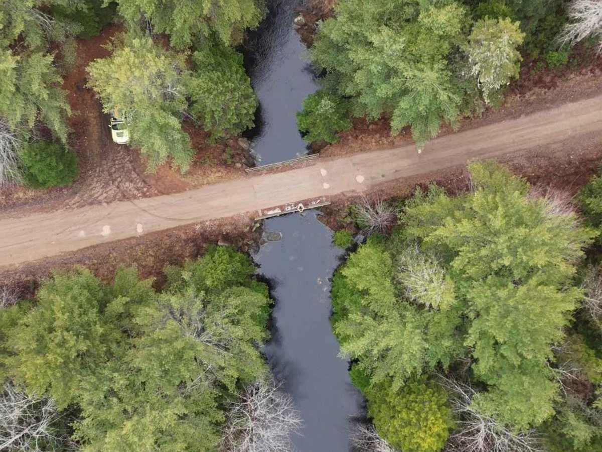 Route 99 trail photo