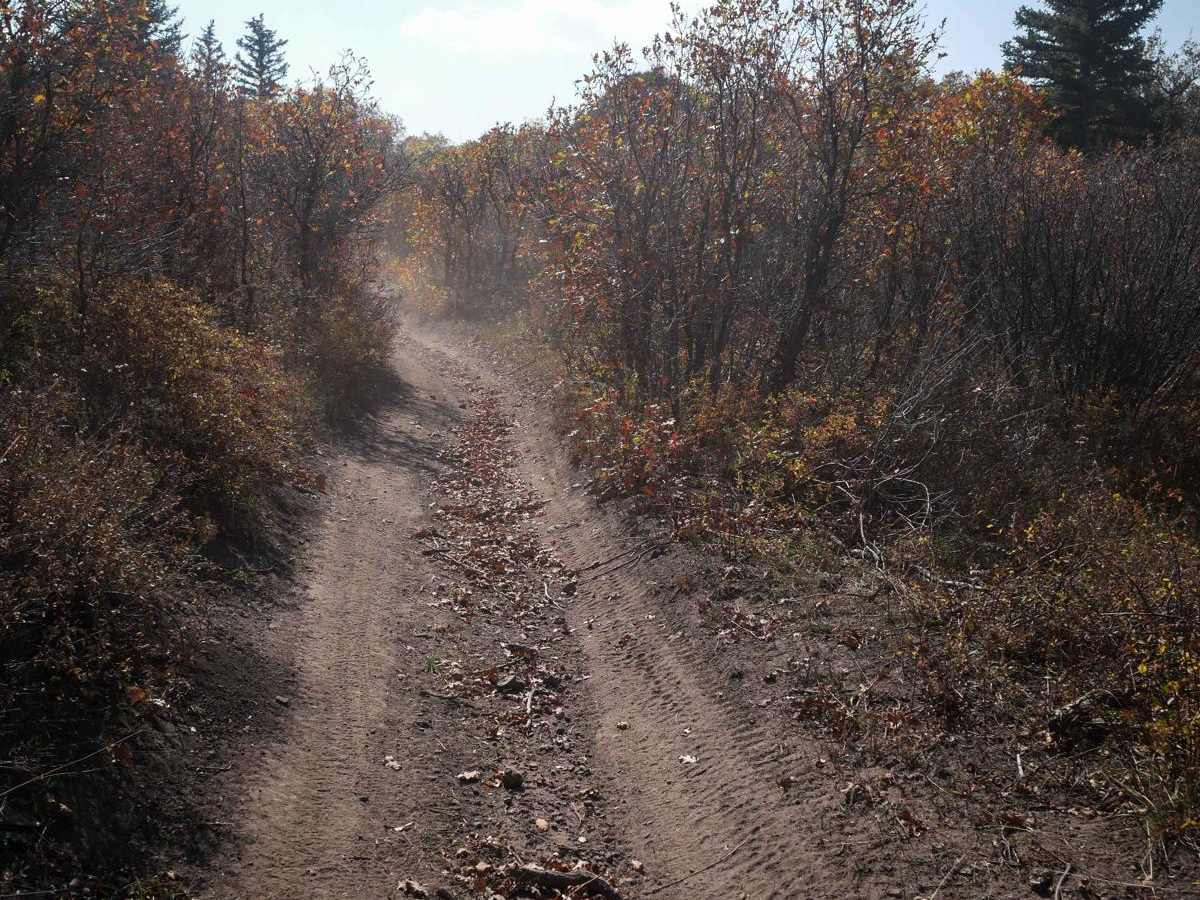 Spring Creek ATV Trail (East) photo 2