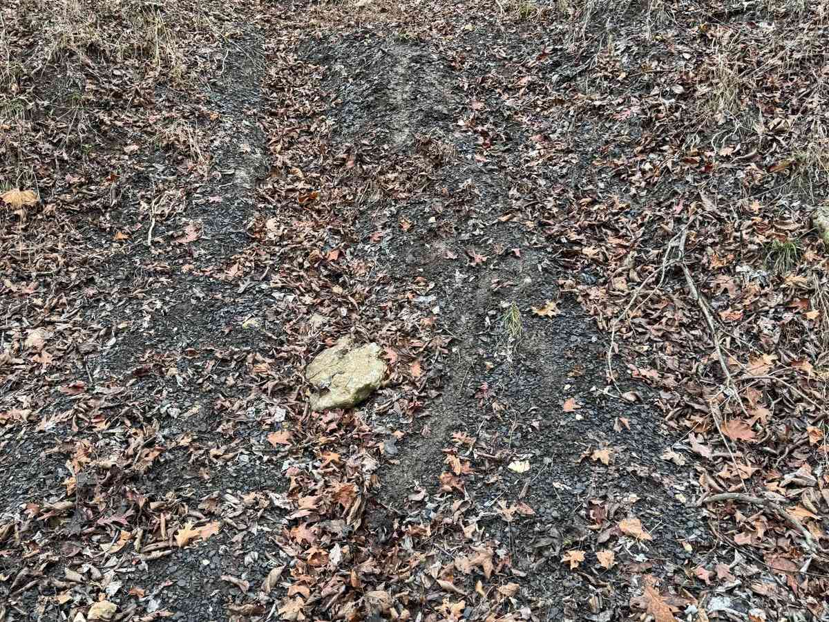 Yellow 345 trail photo