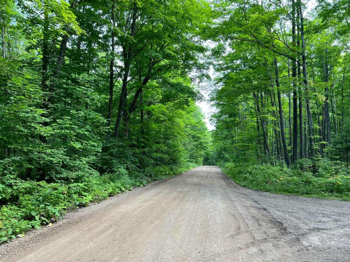 Roberts Lake Road - FS 2144 - Northern Half photo 4