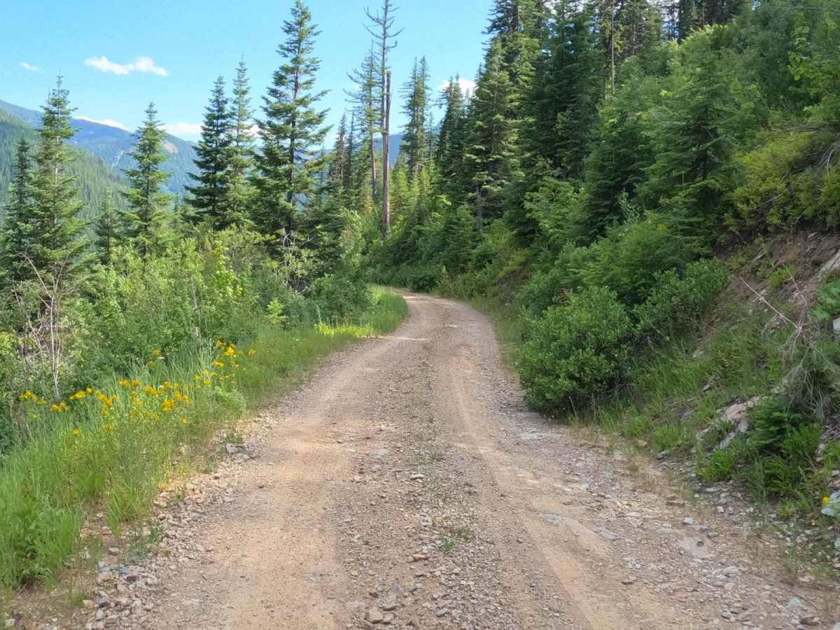 Snowshoe Pass - FSR 488 photo 3