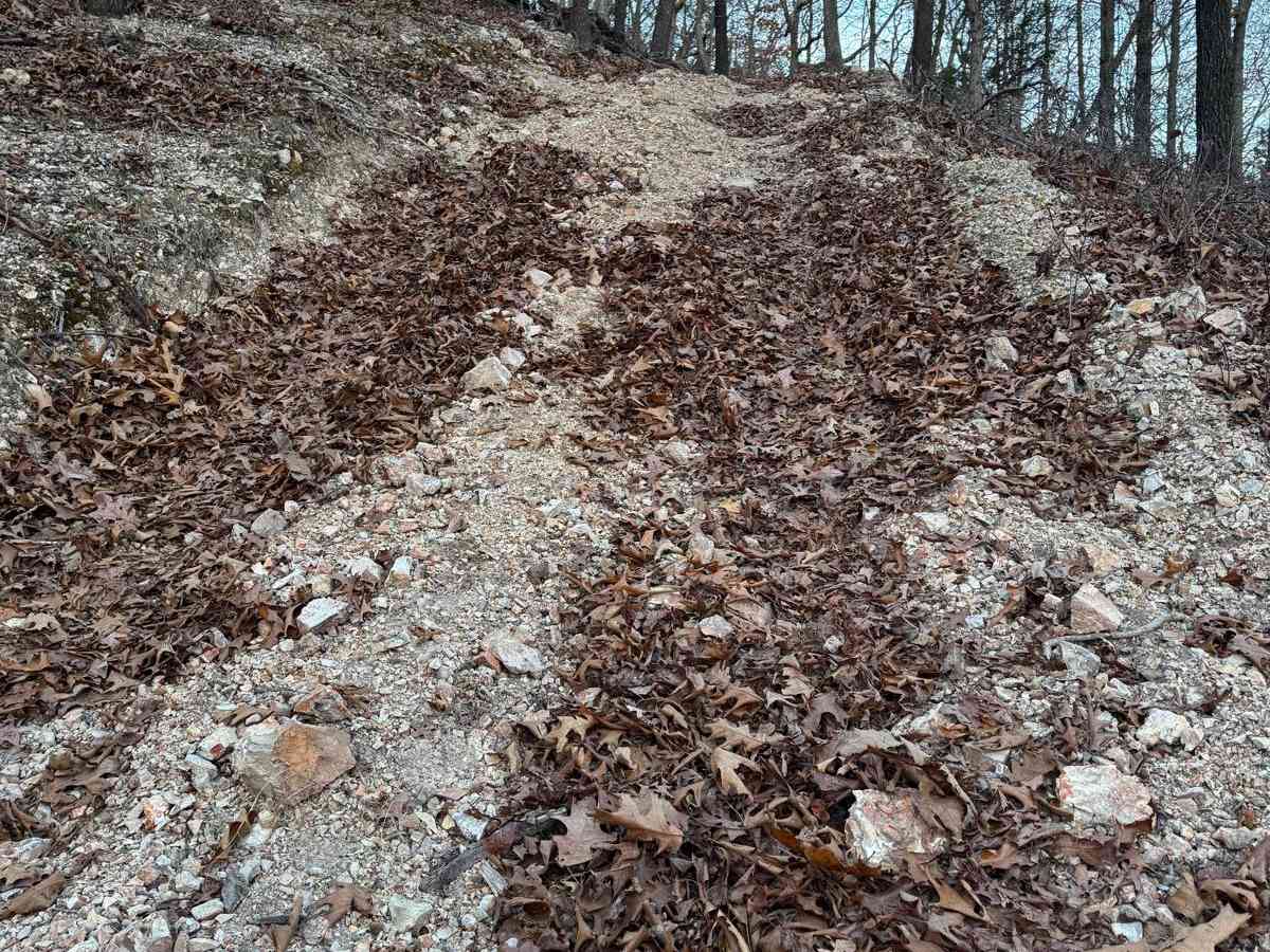 Green 271 trail photo