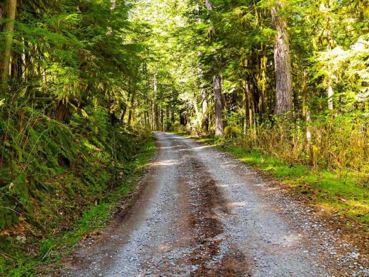 North Fork Stilly trail photo