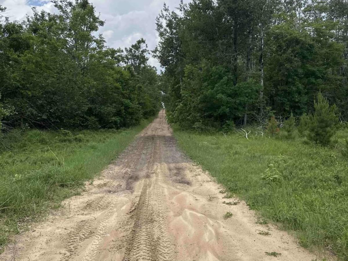LP 9 to Elk Road photo 6