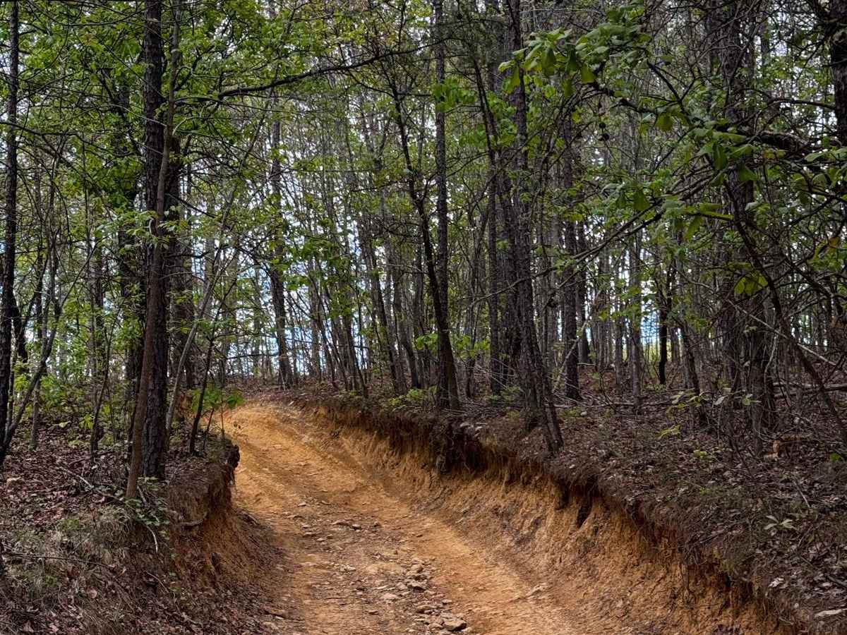 Slab Pile Trail 79 photo 5