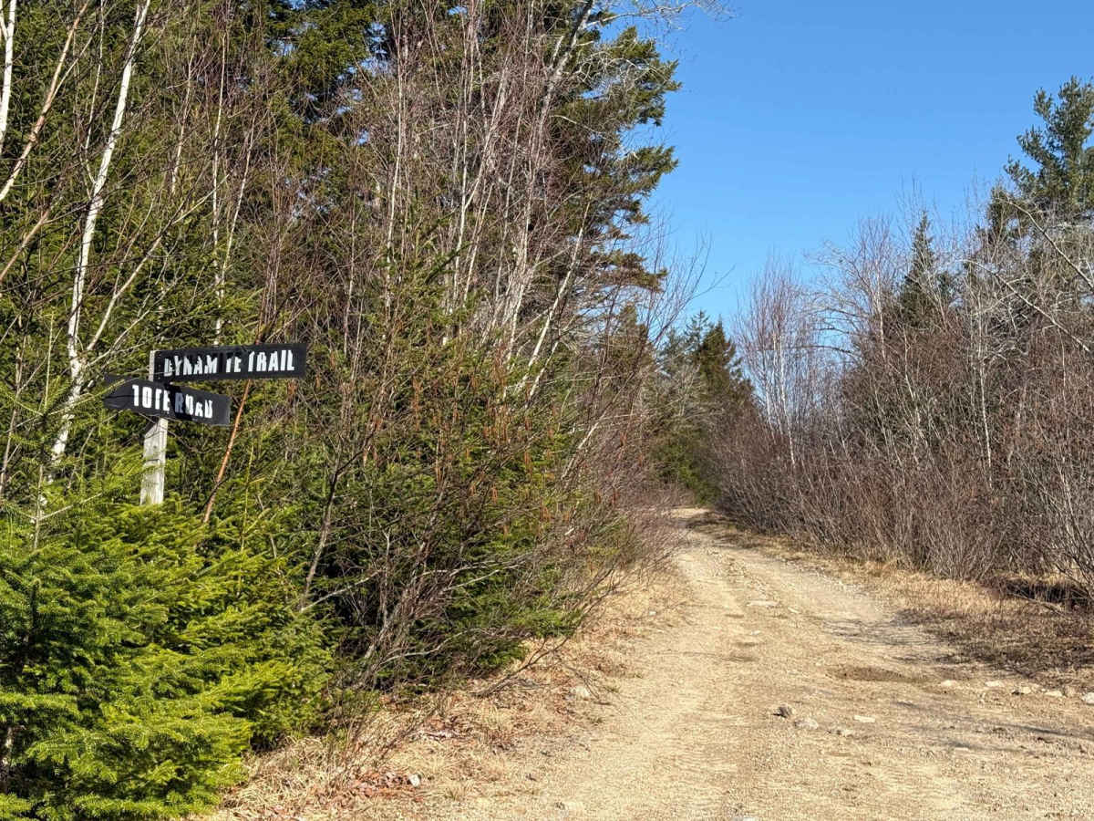 Tote Road photo 6