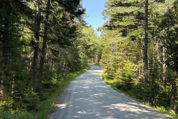 Seal Cove Road