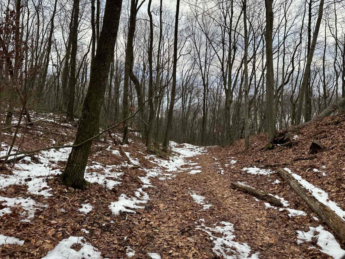 Ashland 182 photo 4