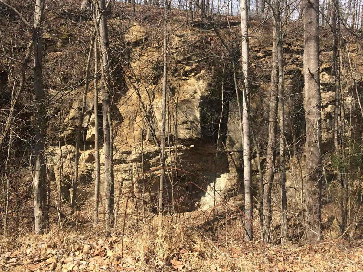 Hogan Overlook photo 5