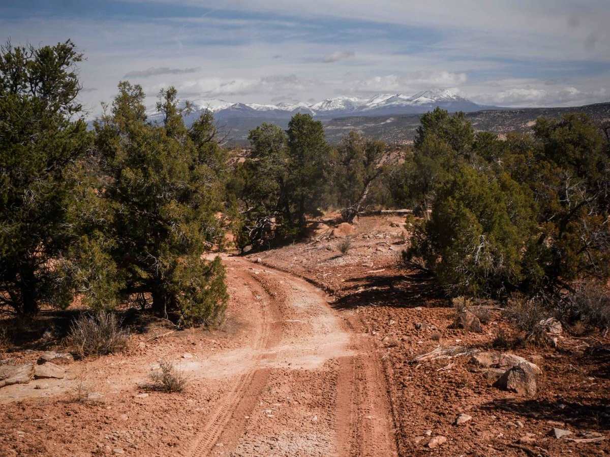 Trail 2 trail photo