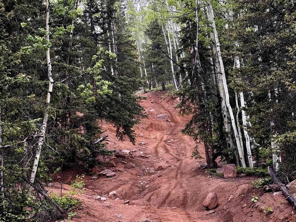 Saran Wrap Road - FS 370D trail photo