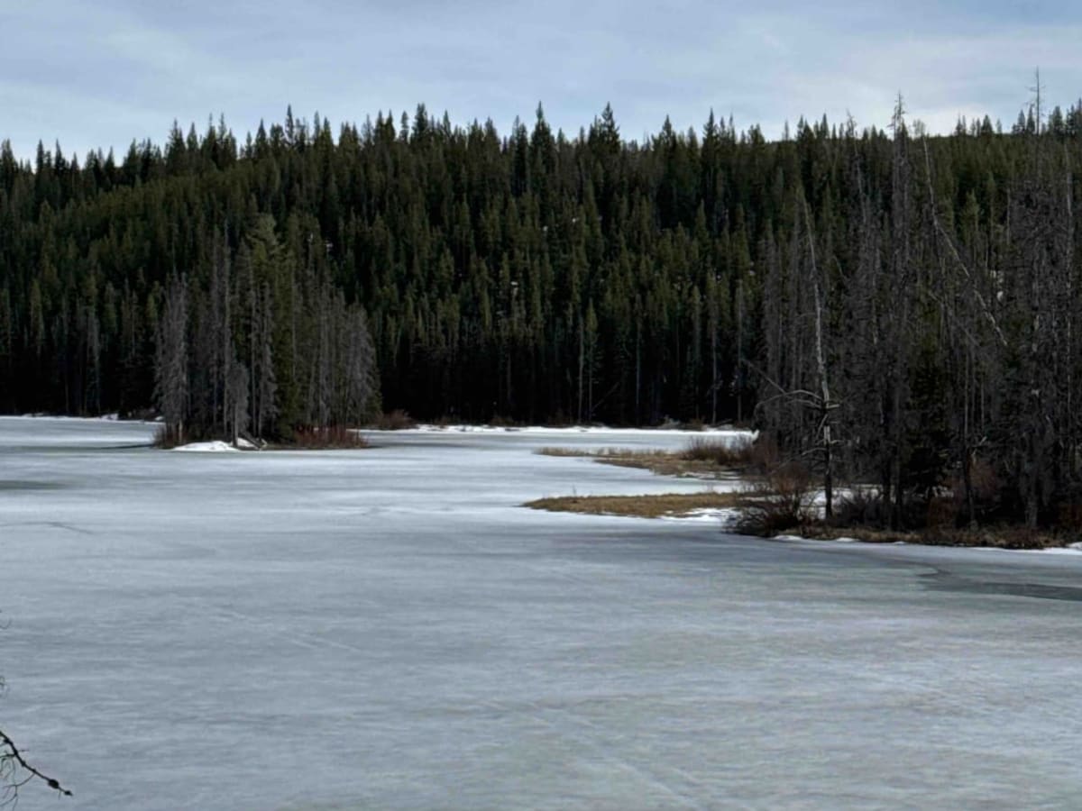 Shrimpton FSR to Buck Lake Recreation Site trail photo