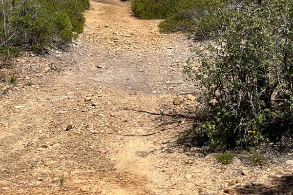 Telephone Ridge