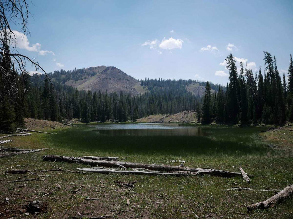 Beef Pasture ATV photo 4