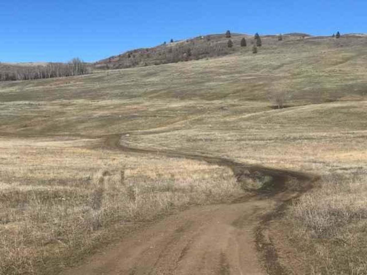 Long Lake Road to McQueen/Isobel Lake Road photo 3