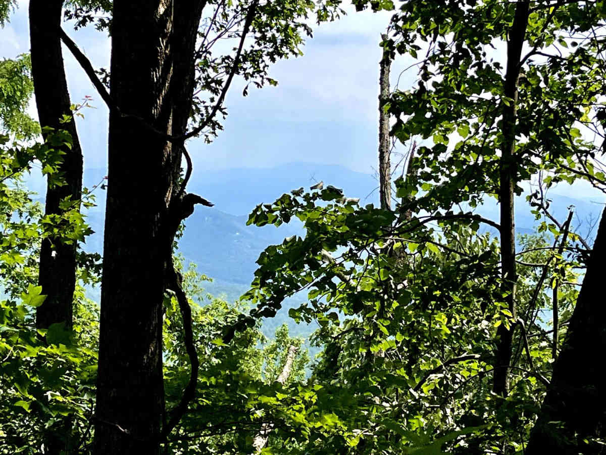 Flat Top Mountain trail photo