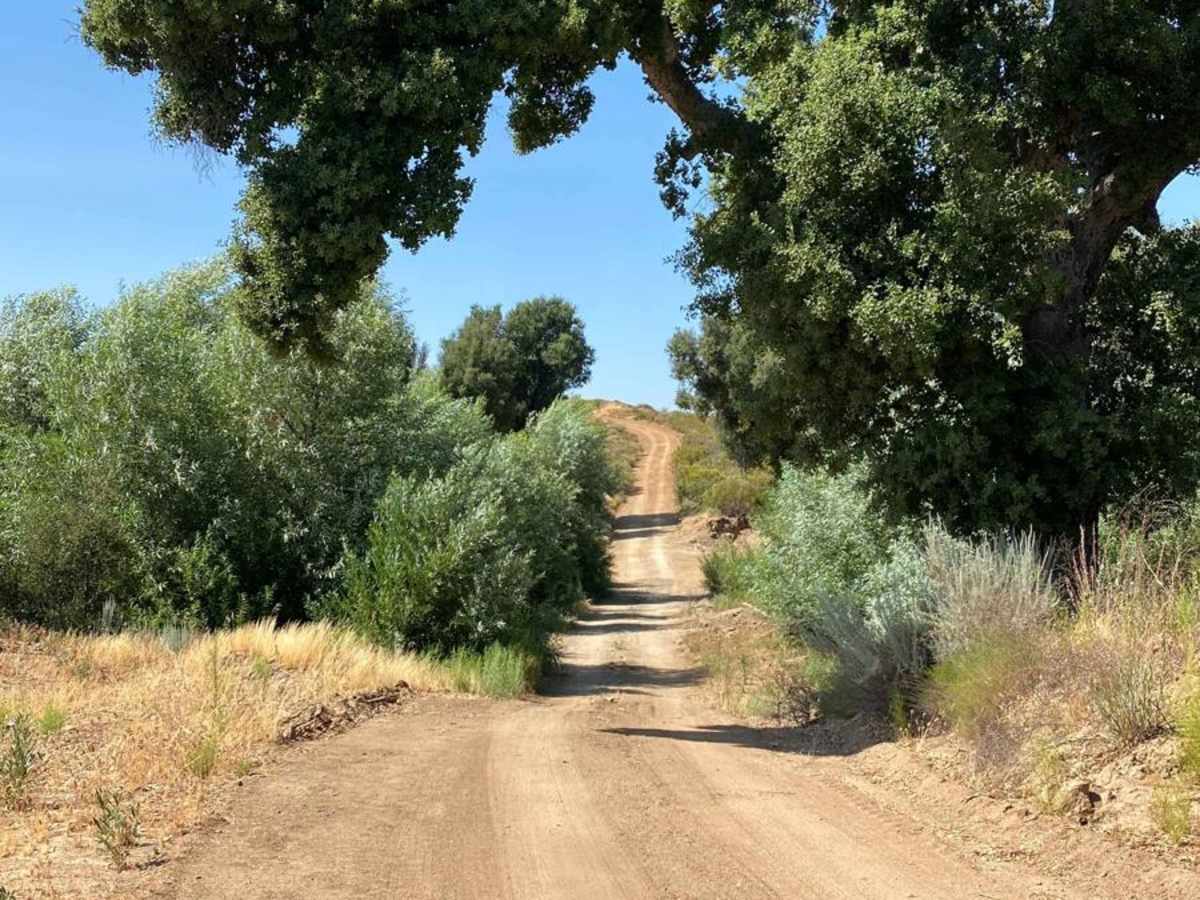 Smooth Scenic Road trail photo