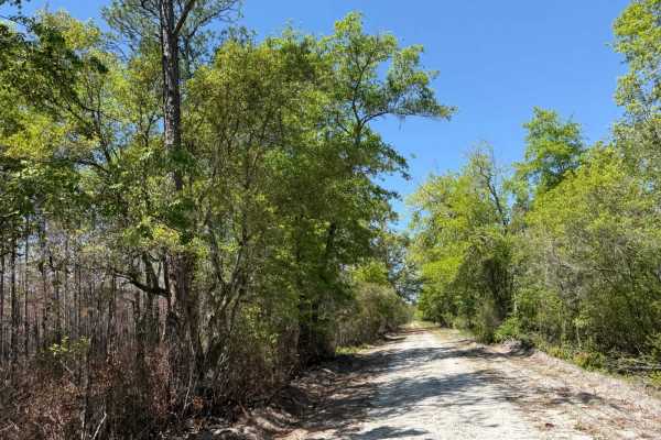Tate Drive