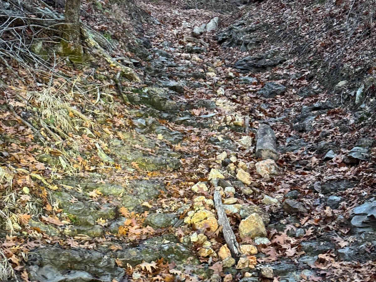 Copperhead 295 photo 5