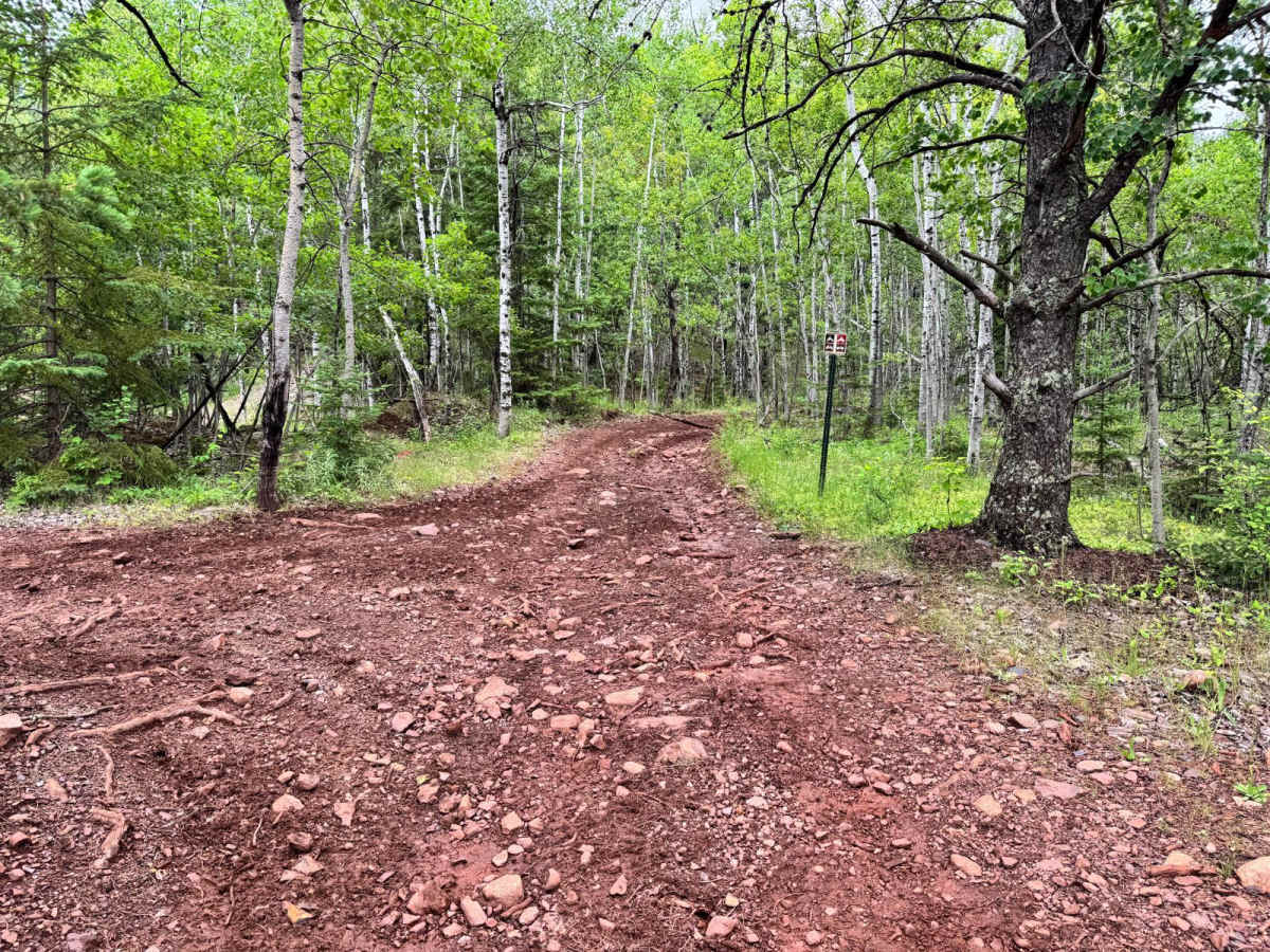 Pinewheel trail photo