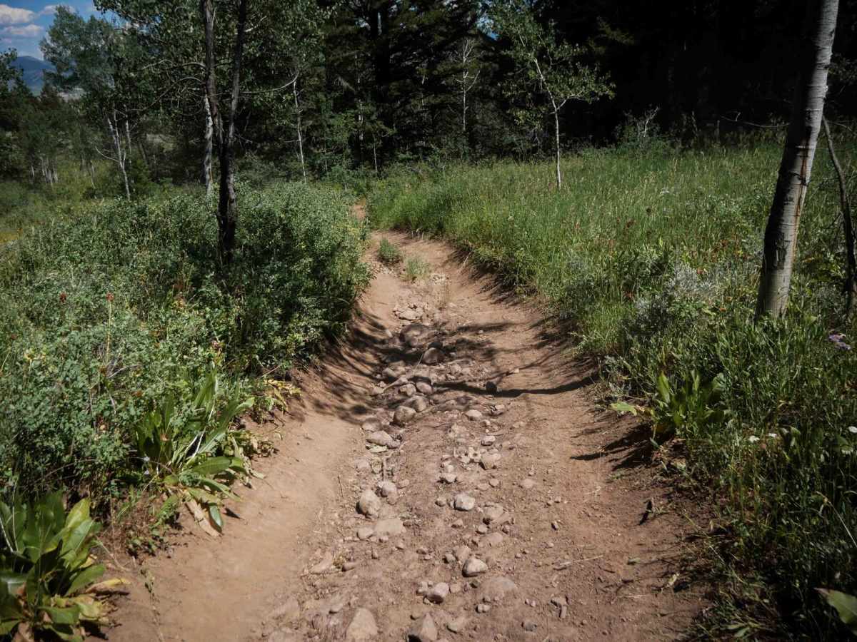 Bailey Creek #3331 photo 4