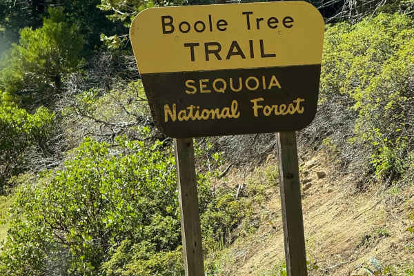 Boole Tree Trailhead