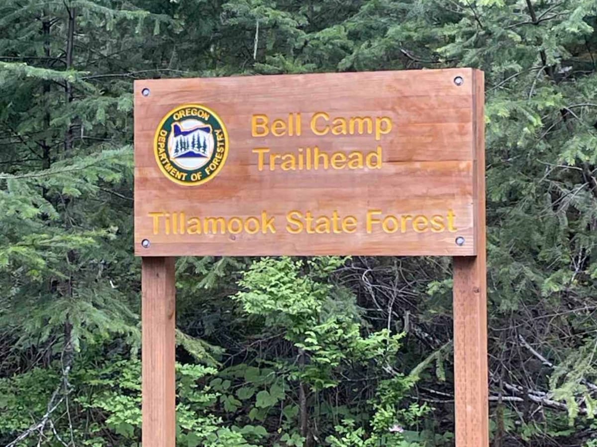 Bell Camp Road trail photo